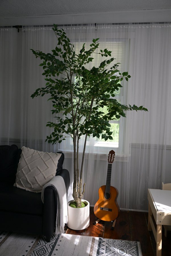 A tall birch-style tree tucked beside a couch, with a guitar resting nearby